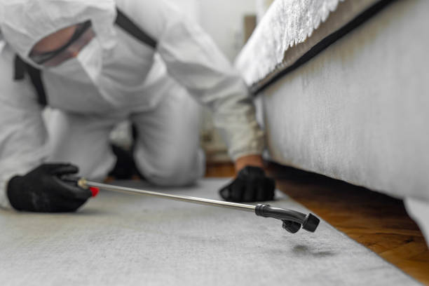 Professional Cockroach Control technician working in Halawa, HI