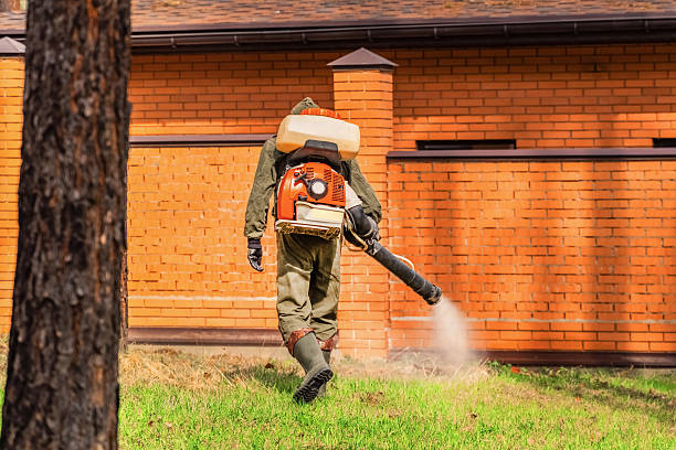 Top rated local Cockroach Control specialists in Halawa, HI